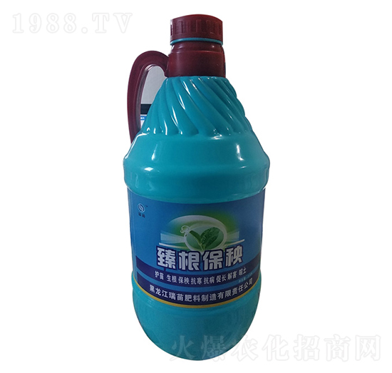 �������-����