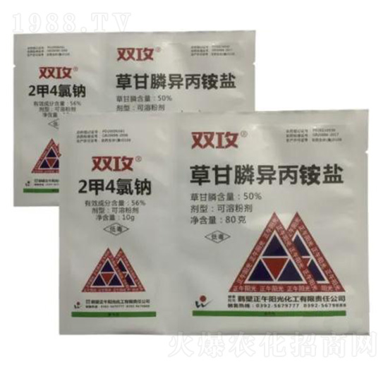 50%2��4���c+50%�ݸ���@�}-�p��-����ꖹ�