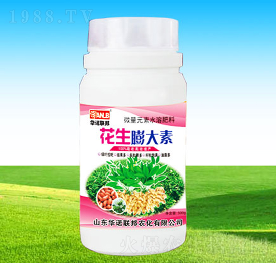 ���������-�A�Z(li��n)��