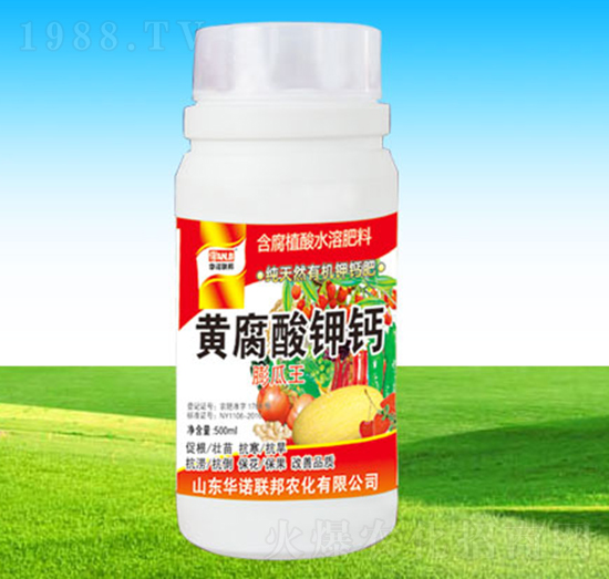 �S�����}�-�A�Z(li��n)��