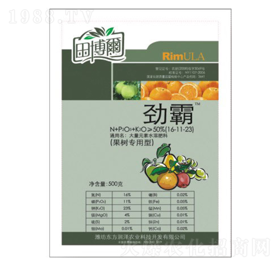 ����(sh��)��(zhu��n)����-�Ű�-�|����(r��n)��