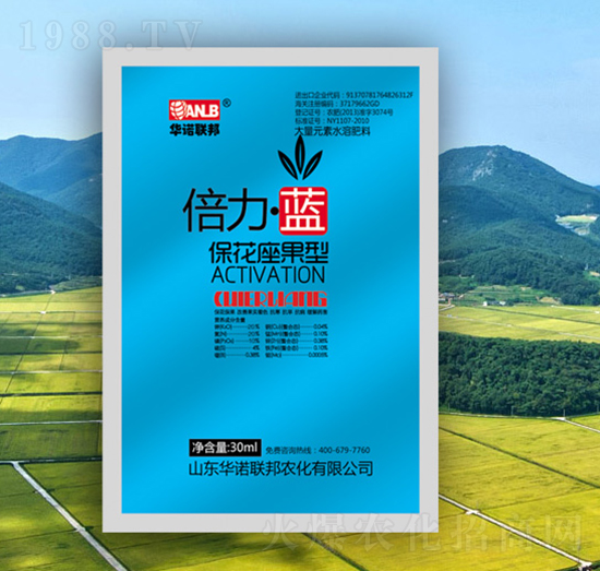 �������{�����������ͣ�-�A�Z��