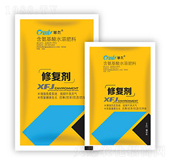 �ޏ̈́�-�|������