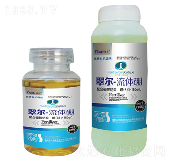 ���w��-�䠖-�|������