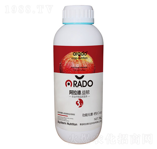 ����Ԫ�ء��}-������