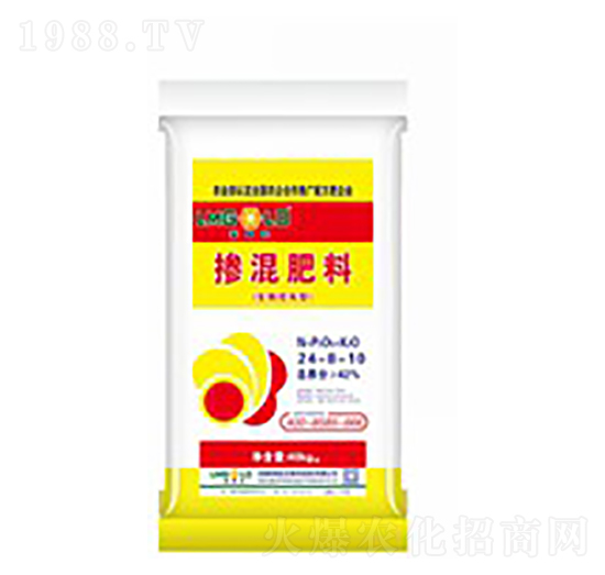 �������24-8-10-�Rķ������