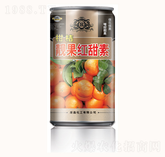 �̽��n���t����-���λ���