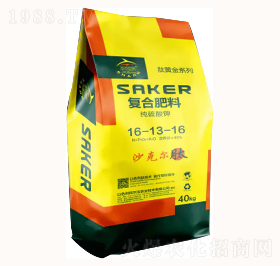 �������16-13-16-�������r(n��ng)�I(y��)