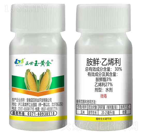 ���׿����������a���� �������S�� ���䌍�I(y��)