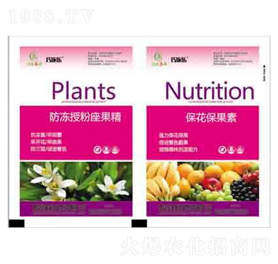 �����ڷ�������+���������� ����