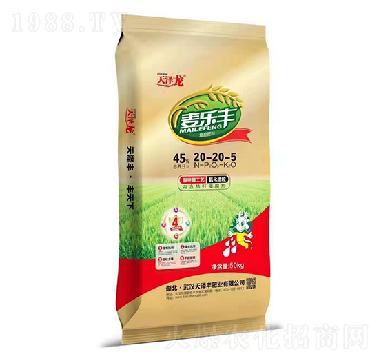 �ͺϷ���20-20-5 �����S �����