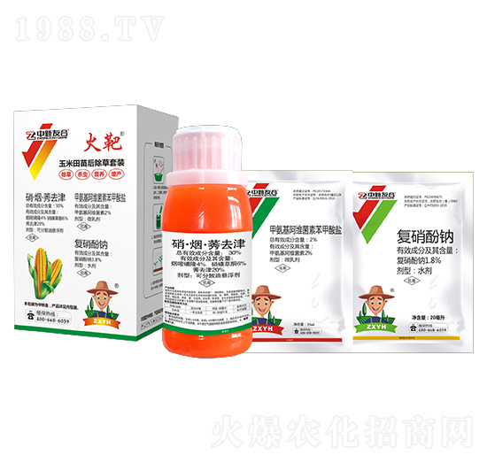 �����������݄����b ��� �����Ѻ�