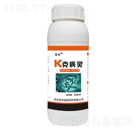 K�˲��` ����