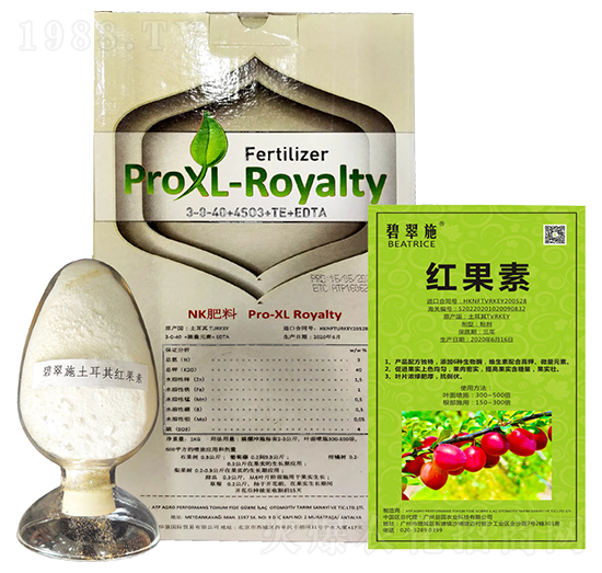 �̴�ʩ���t���� ����r�I(y��)