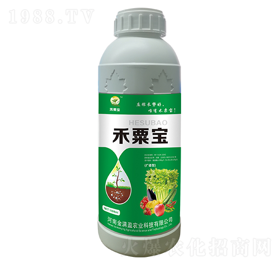 ���ڌ����V�V�ͣ� ��M(m��n)ӯ�r(n��ng)�I(y��)