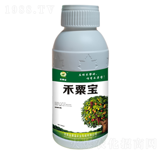 ����(sh��)��(zhu��n)�÷� ���ڌ� ��Mӯ�r(n��ng)�I(y��)