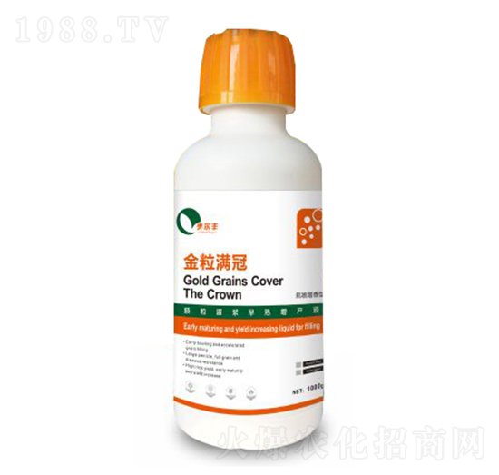 金粒滿冠-美爾豐-康奈爾