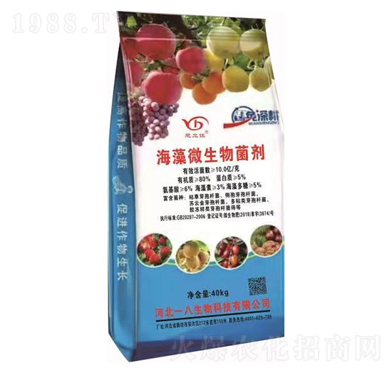 ����΢������� ������ һ������