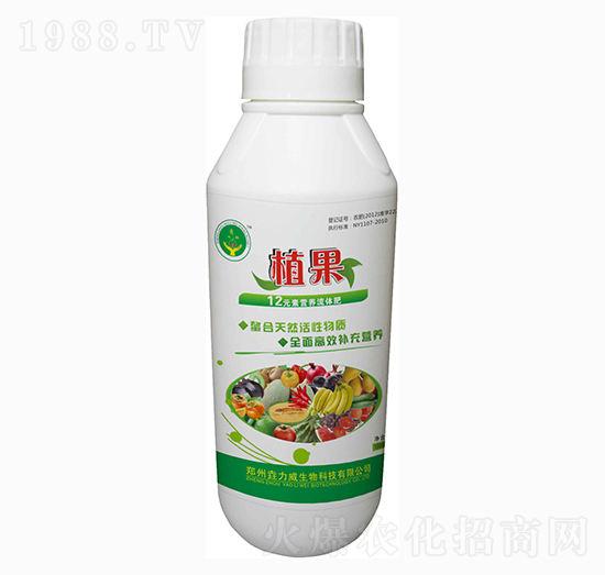 12Ԫ�ؠI(y��ng)�B(y��ng)���w��-ֲ��-������