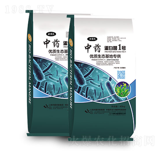 ��ˎ�����׾�1̖(h��o)-�W�����F(tu��n)