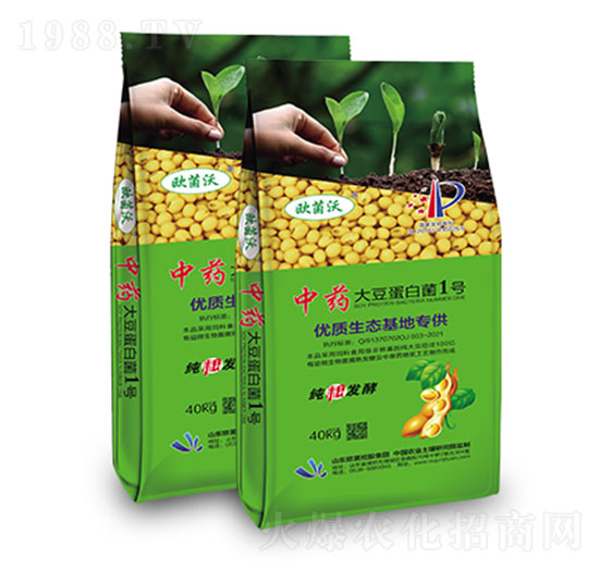 ��ˎ���󶹵��׾�1̖(h��o)-�W�����F(tu��n)