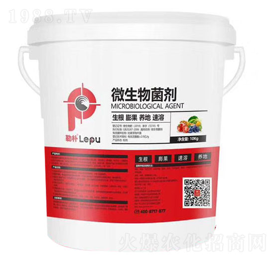 ΢���������Ͱ��-���՘�