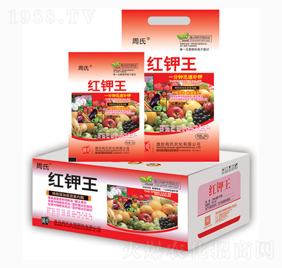 �t���-�����r��