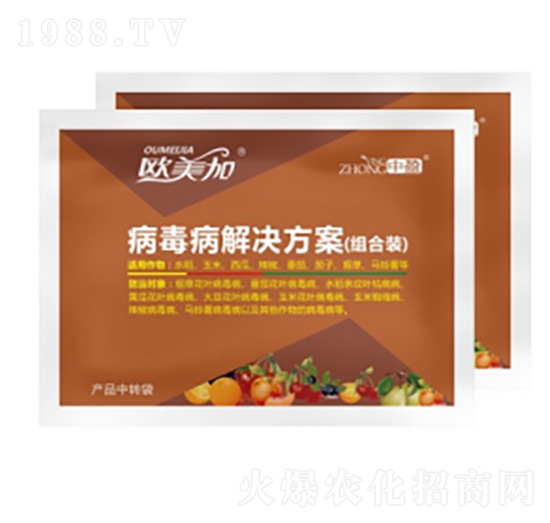 �������ײͷ��� �W���� ��ӯ