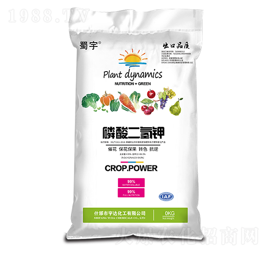 �������� ���� ���_����