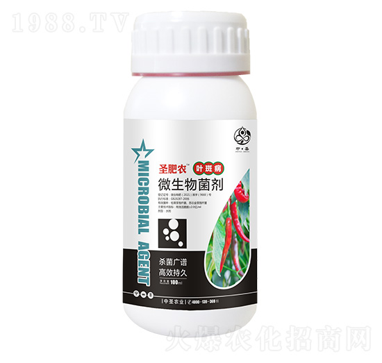 ƿ�b�~�߲�����΢�������-ʥ���r-��ʥ�r�I(y��)