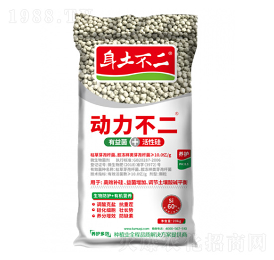 ��(d��ng)������ �������� ��ľ������