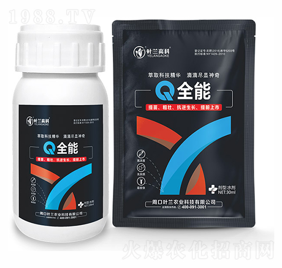 ȫ��-�~�m�߿�