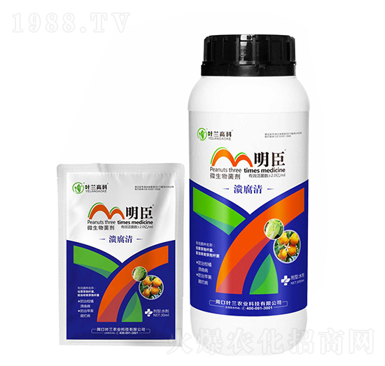 ΢�������-������-����-�~�m�߿�