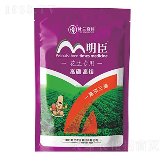 ���������ײ�-����-�~�m�߿�