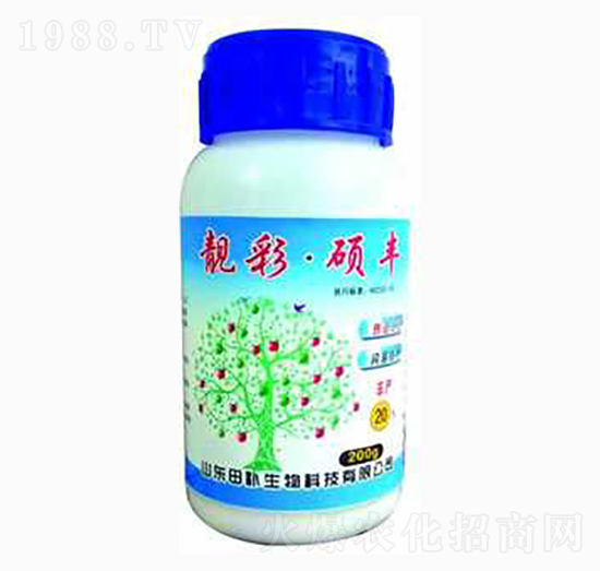 ���ʴT�S-���a(b��)