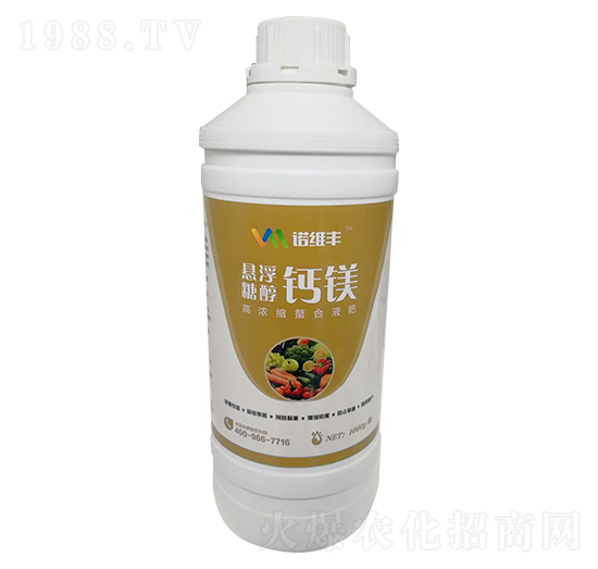 �ߝ�s����Һ��-�Ҹ��Ǵ��}�V-�Z�S�S