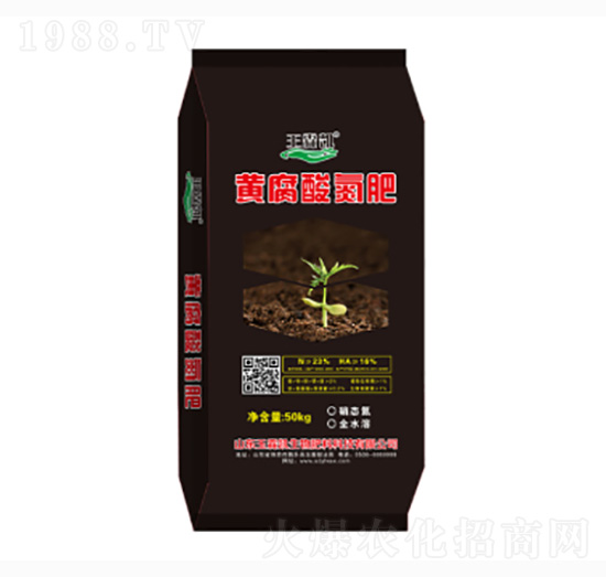 �S���ᵪ��-���؄P����