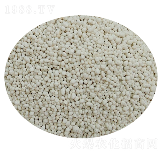 �D(zhu��n)�ğo������-��׿����