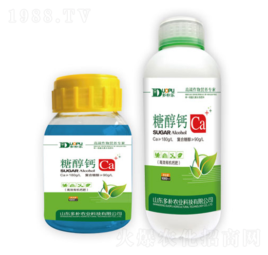 �Ǵ��}-�����Ƽ�