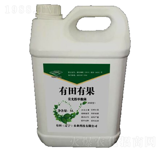 �ɹ�نΰ�-�����й�-����