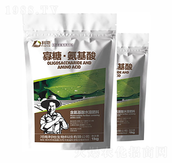 ���ǡ�������-��������