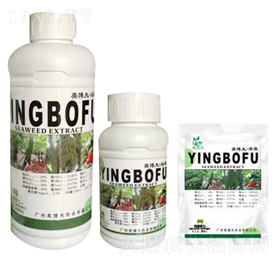 海藻型大量元素水溶肥料 英博夫