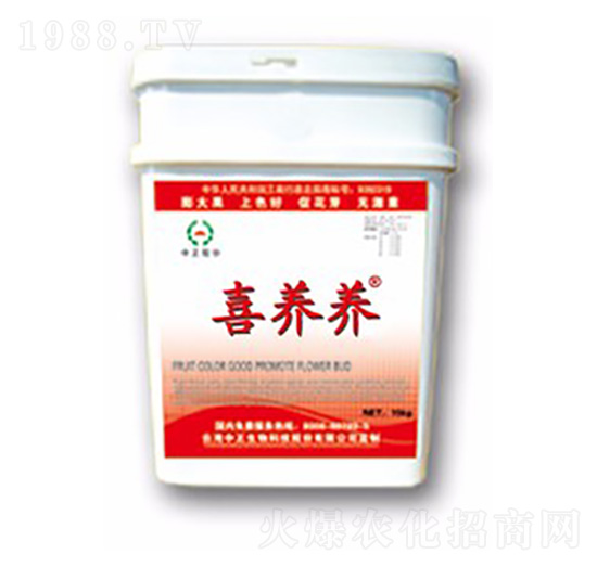 ϲ�B(y��ng)�B(y��ng)-���A��