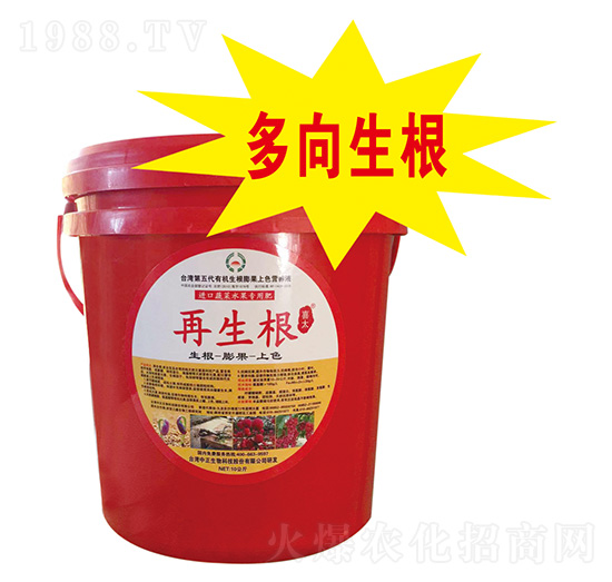 �����߲�ˮ����(zhu��n)�÷�-������-���A��