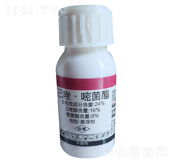 24%�����Ѿ���-�|���r(n��ng)��