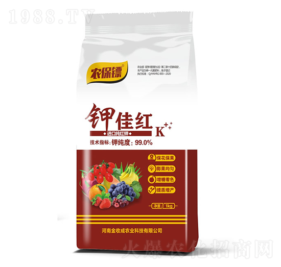 ⛼Ѽt���M�ڼ��t⛣�-�r(n��ng)���S-���ճ�