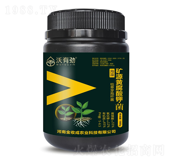 �VԴ�S����⛡���-���Є�-���ճ�