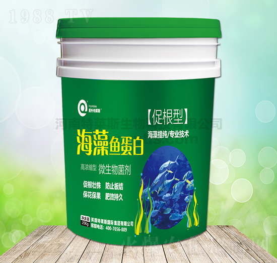 �����~���ף��ٸ��ͣ�-Ӣ�����R˹