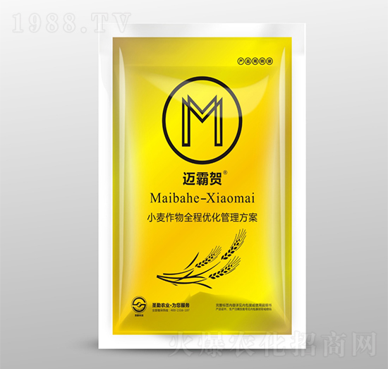 С������ȫ�̃�(y��u)����������-�~���R-ʥ���r(n��ng)�I(y��)