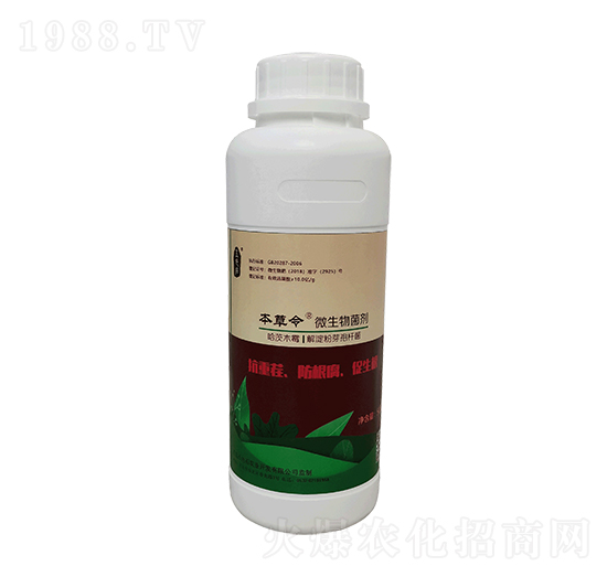 ���������-��ɫʯ�r(n��ng)�I(y��)